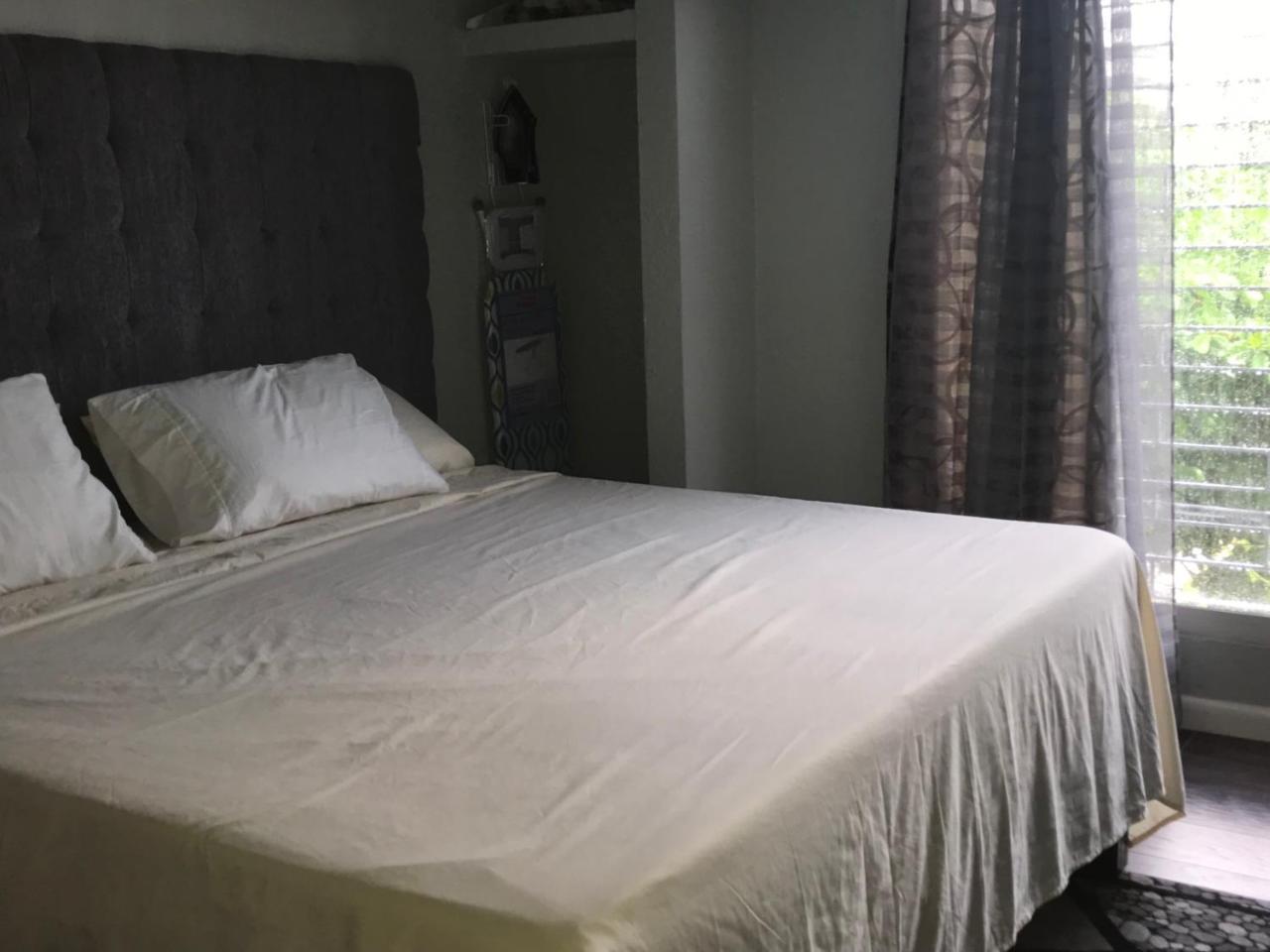 Abacus Jamaica The Zana Suites Kingston Zewnętrze zdjęcie
