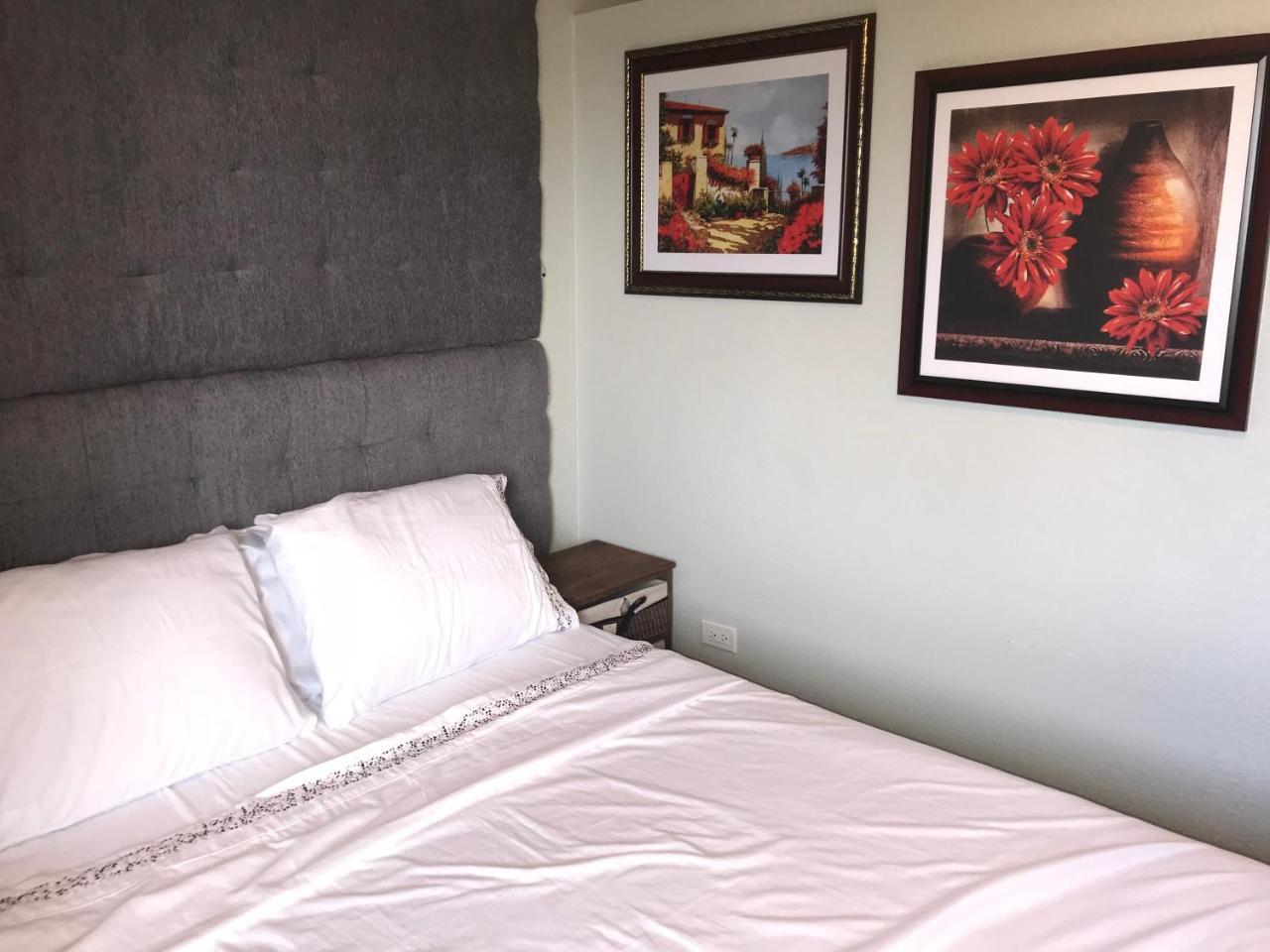Abacus Jamaica The Zana Suites Kingston Zewnętrze zdjęcie